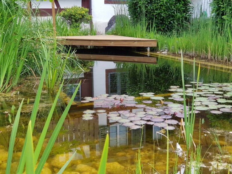 Teiche, Weiher, Wasseranlagen Winterthur